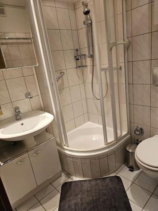 A&E Apartment Am Sorpesee Langscheid  Екстер'єр фото
