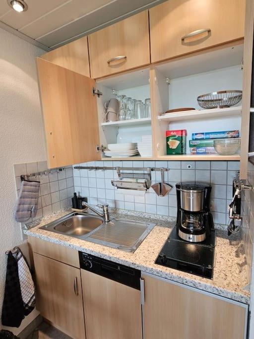 A&E Apartment Am Sorpesee Langscheid  Екстер'єр фото